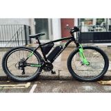 Freespirit Contour Electric MTB Customized